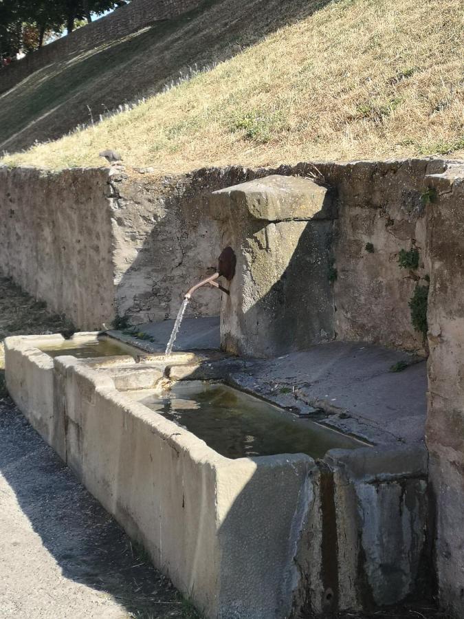 דירות קרקסון Un Petit Coin De France : A Cote De La Cite Medievale מראה חיצוני תמונה