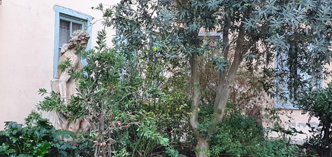 דירות קרקסון Un Petit Coin De France : A Cote De La Cite Medievale מראה חיצוני תמונה